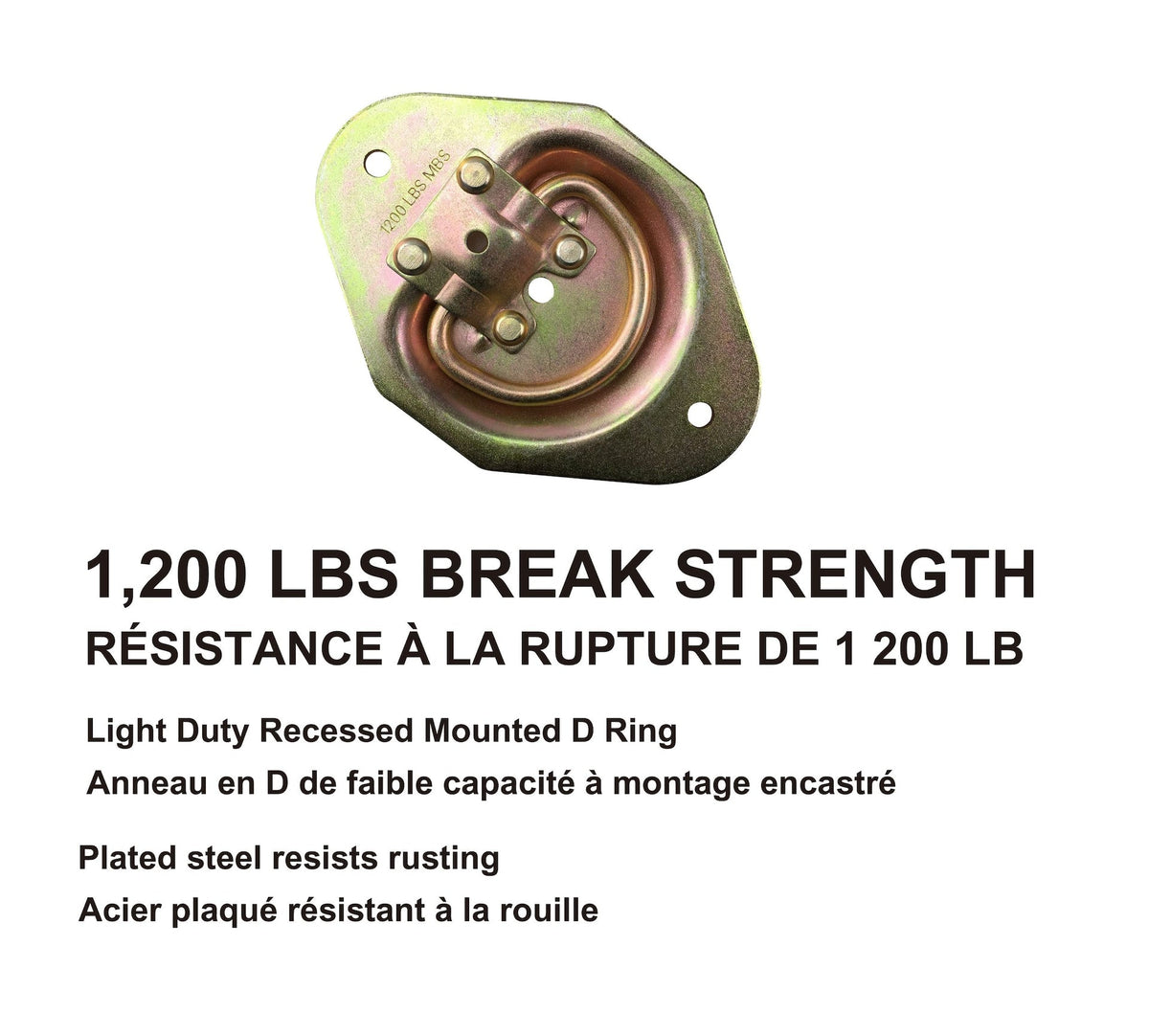 MotoMaster 1,200-lb Medium Duty D-Ring, Recessed Mountable