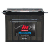 MOTOMASTER Group Size 25 Battery, 550 CCA