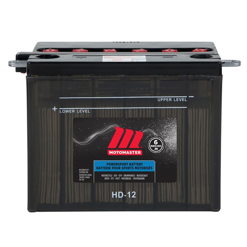 MOTOMASTER Group Size 41 Battery, 650 CCA L1