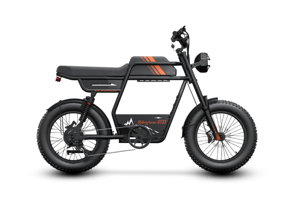 GT33 All-Terrain Cafe Racer Cargo Electric Bike S2