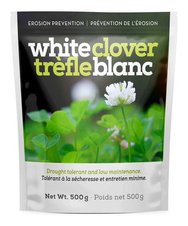White Clover Erosion Control Grass Seed 500g S4